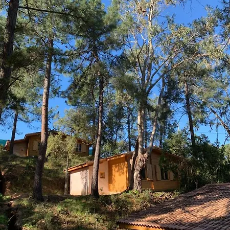 Campeggio Chalets 3 Chambres - Porticcio Porticcio (Corsica)