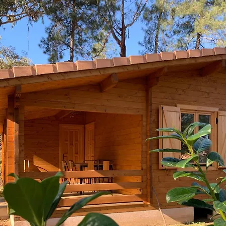 Chalets 3 Chambres - Porticcio Campeggio Porticcio (Corsica)